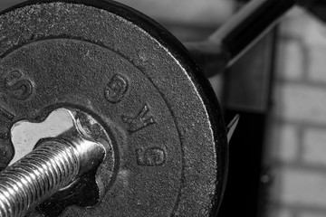 Lightweight barbell in the gym