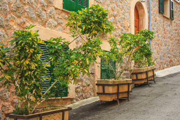 typical spanish styled streets in Deia town at the west coast of Mallorca, Spain