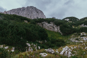 Fototapeta na wymiar Mountain trip, Montenegro, Durmitor national park