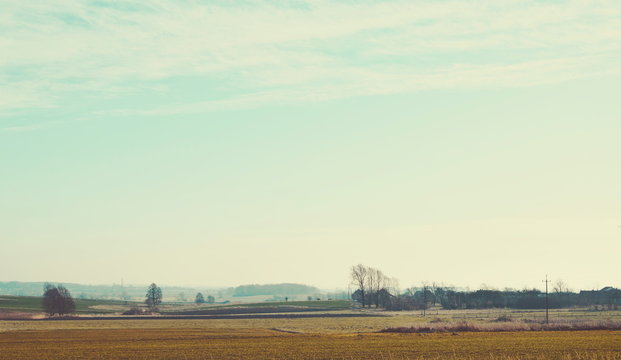 Widok