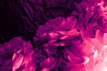 Beautiful abstract color blue and purple flowers on black background and blue graphic flower frame and pink leaves texture, purple background, colorful graphics banner happy valentine day