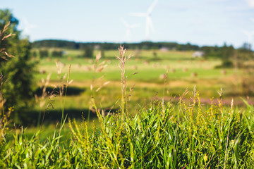 Estonian rural country landscape with forest, field and wind generators on the road to Tallinn,...