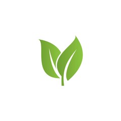 Green leaf icon, vector Illustration