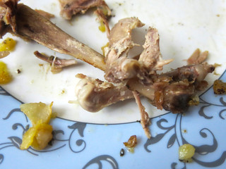 duck bones on a plate