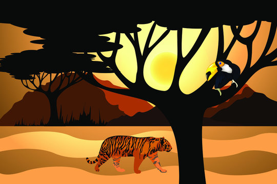 Vector image of a shroud and a wandering tiger in search of food.
