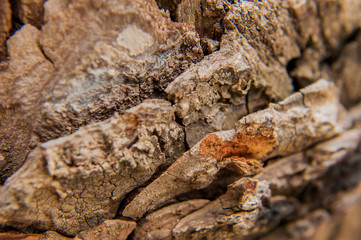 natural wood