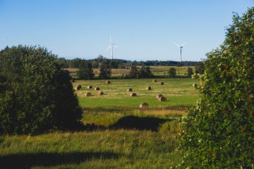 Estonian rural country landscape with forest, field and wind generators on the road to Tallinn,...