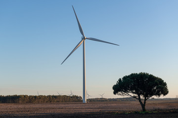 Fototapeta na wymiar Wind turbine for electric power production. Energy saving concept.