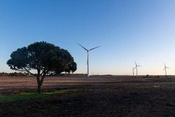 Fototapeta na wymiar Wind turbine for electric power production. Energy saving concept.