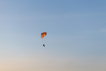 Paraglider flying over thesea shore at sunset. Paragliding sport concept.