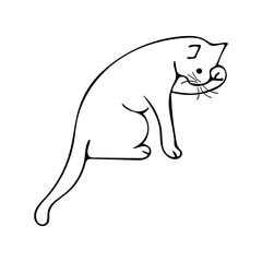 Doodle cat washing one paw, black and white illustration on white background. Cute animal