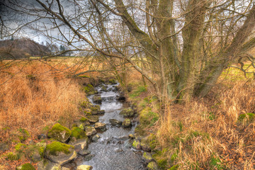 Bachlauf am Wiedwanderweg im Westerwald