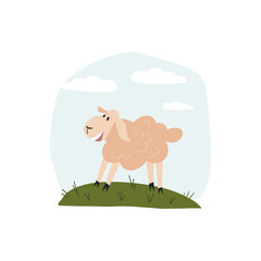 Fun hand drawn happy smiling sheep on a medow. Flat vector illustration on isolated background.