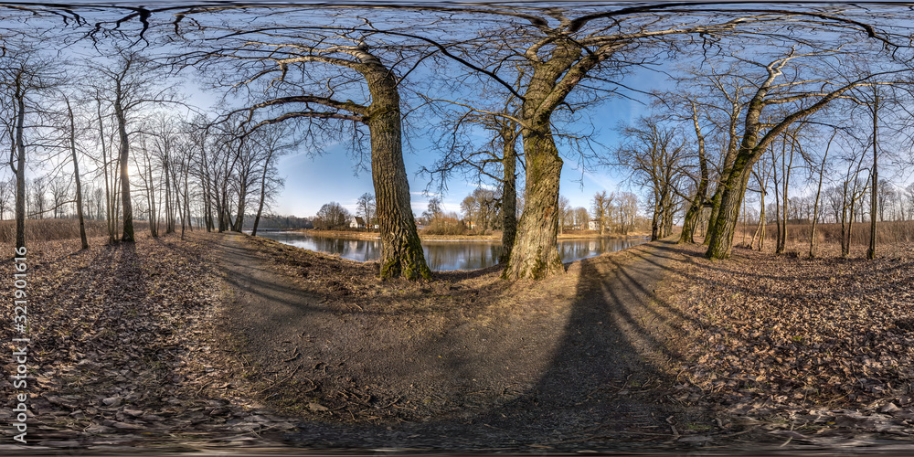 Wall mural full seamless spherical hdri panorama 360 degrees angle view on pedestrian walking path among oak gr