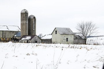 Weathered wood barn in winter © BradleyWarren