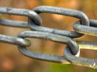 steel grey chain with links in autumn