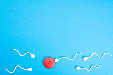 Active sperm swim in an egg on a blue background. The concept of pregnancy, fertilization of the...