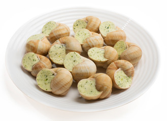 plate stuffed with snail sauce, on a white plate