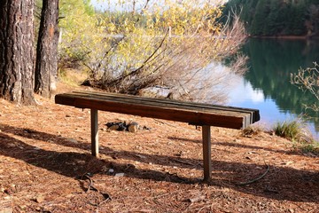 Bench in a Park