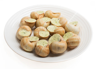 plate stuffed with snail sauce, on a white plate