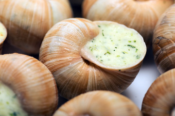 still life of stuffed snail sauce, on a white background