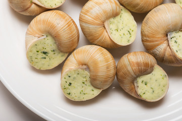 still life of stuffed snail sauce, on a white background