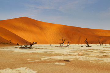 Dead Vlei (Namib-Naukluft Park) - Namibia Africa