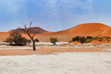 Sossusvlei (Namib-Naukluft Park) - Namibia Africa