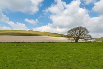 A South Downs landscape on a sunny spring day