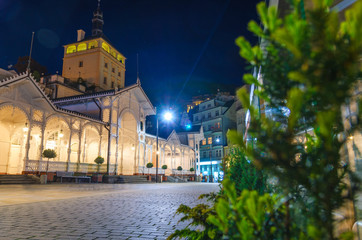 The Market Colonnade Trzni kolonada wooden colonnade with lights and hot springs in town Karlovy Vary Carlsbad historical city centre, night evening view, West Bohemia, Czech Republic