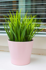 Green artificial potted plant in pink ceramic pot on a window sill in a modern home
