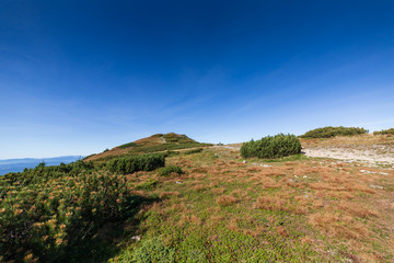 Fototapeta premium Polish Beskid Mountains landscape on sunny day in summer