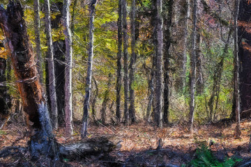 Obraz premium Impressionistic Style Artwork of Autumn Colors Hidden Deep in the Green Forest