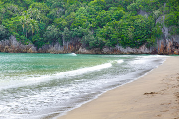 Rocky shore with tropical trees. Sand beach. Rocky shore and beach on a background of clear ocean water. © Tatiana Nurieva