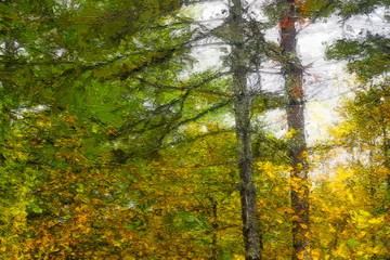 Obraz premium Impressionistic Style Artwork of Autumn Colors Hidden Deep in the Green Forest