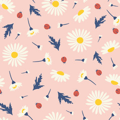 Seamless pattern with chamomiles. Vector illustrations