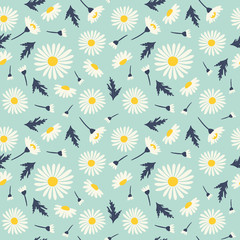 Seamless pattern with chamomiles. Vector illustrations