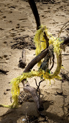 Hawaii d fishingPounders beach trash left from boats an