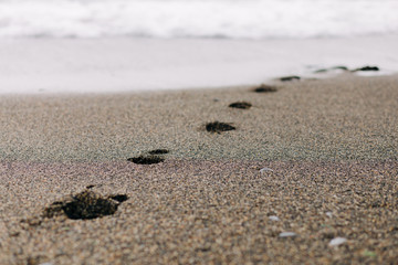 footprints on the wet sand from the sea wave on the beach