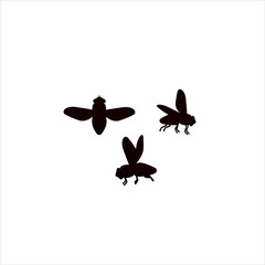 Icons flies. Silhouette. Flies in flight