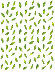 watercolor pattern with green leaves and branches
