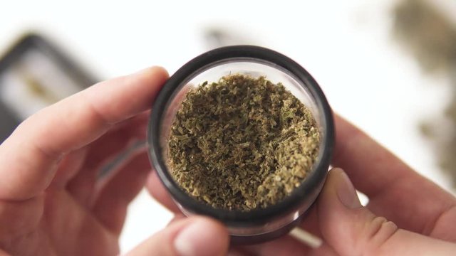 in hand a grinder to grind marijuana weed against a background of flowers of cannabis and scales and joint top view 