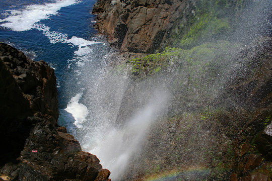 La Bufadora (BCX 0036)