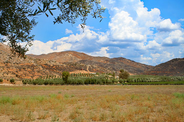 Guadalupe Valley (BCX 0236)