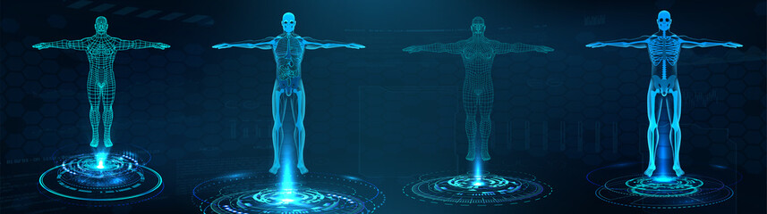 Human body polygonal wireframe and Transparent human body with anatomy of the structure of internal organs. Futuristic hologram scan, 3D x-ray Body in HUD style. Healthcare vector illustration - obrazy, fototapety, plakaty