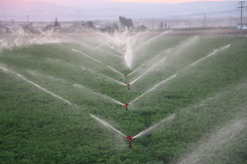 Irrigation system in a field. Sprinkler system. Close up.