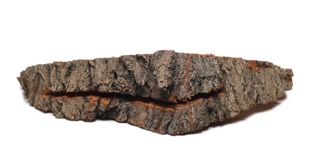 Oak stump, log fire wood isolated on white background 