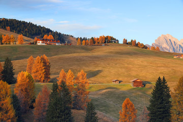 Autumn sunrise scenery with yellow larches in Alpe di Siusi (Seiser Alm) Dolomites, Italy, Europe