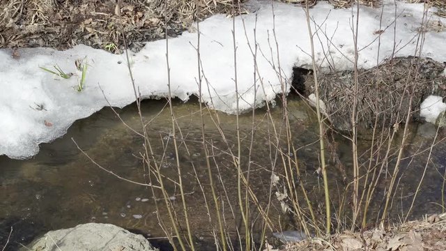 Thawed patch on frozen river. Frozen ice river is melting in spring with ice flakes flowing. Cracked ice floating on the river in spring time. Global warming,Dolly zoom