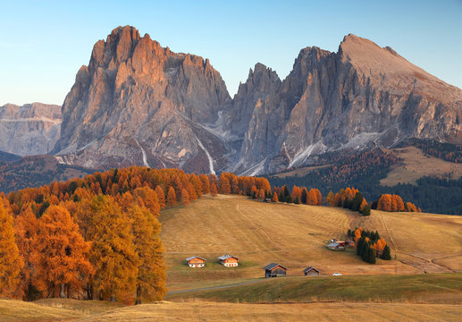 Autumn sunrise scenery with yellow larches in Alpe di Siusi (Seiser Alm) Dolomites, Italy, Europe